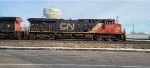 CN 3813